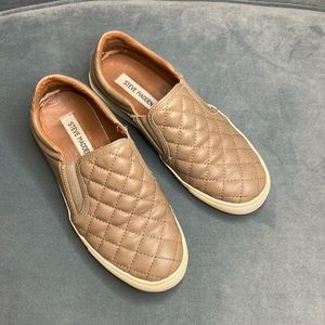 STEVE MADDEN | Sneakers